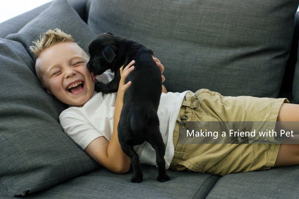 How to Introduce Your Pets to Your New Baby: Making a Friend